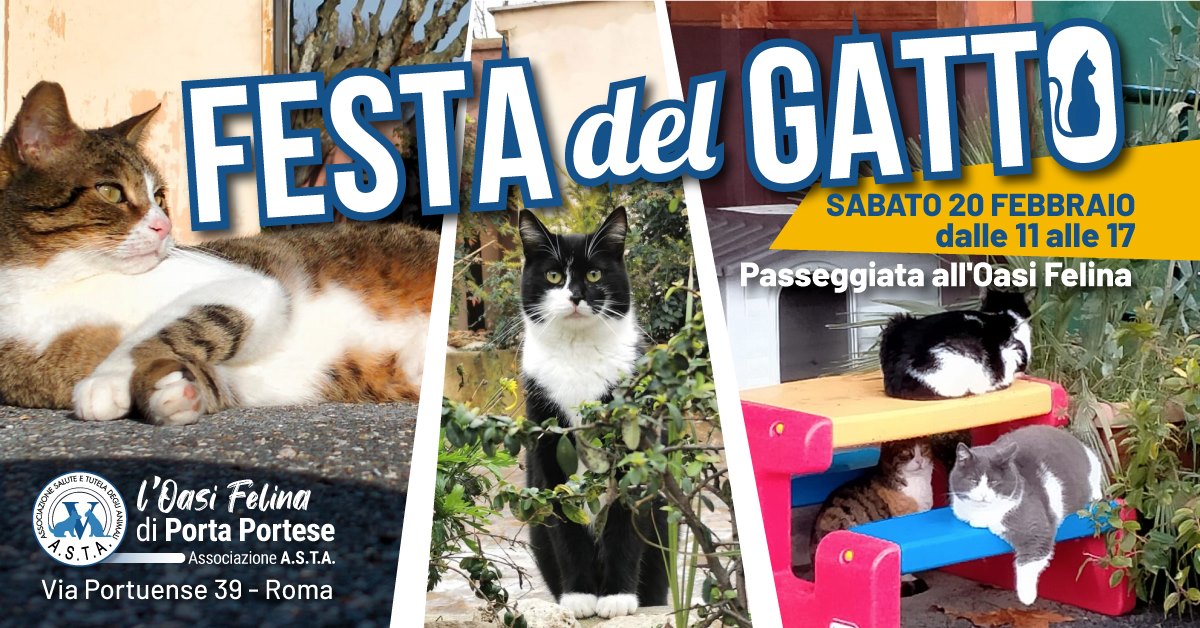 Festa_del-gatto_2021_oasi_felina