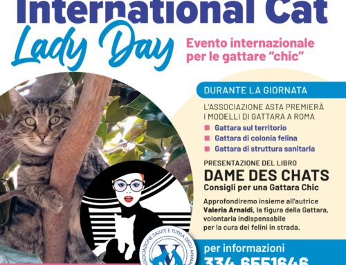 International Cat Lady Day